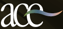Autism Center for Excellence